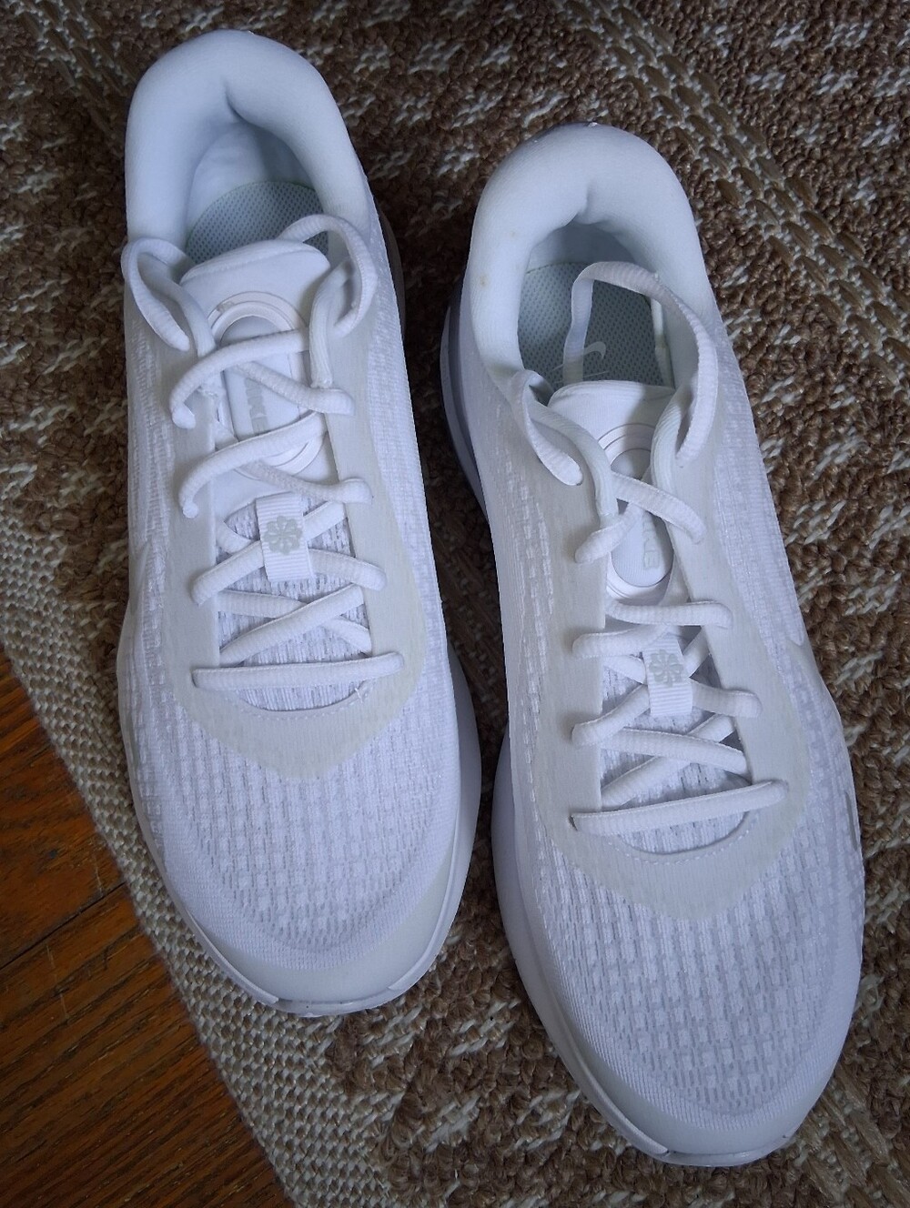 Nike White & Silver Sneakers